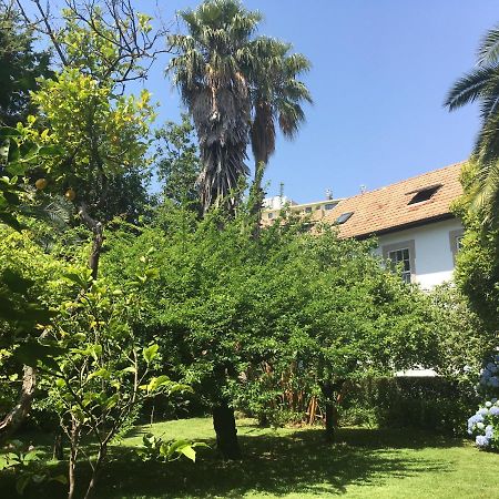 מלון פורטו The Oaks House Foz מראה חיצוני תמונה