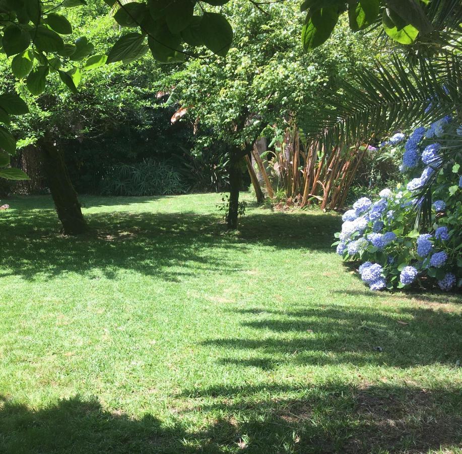מלון פורטו The Oaks House Foz מראה חיצוני תמונה